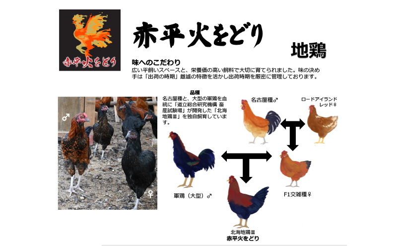 訳あり 国産 鶏肉 赤平火をどり 地鶏 ムネ モモ セット 計3.6kg 鶏 もも肉 むね肉 肉 精肉 国産鶏肉 鳥 鳥肉 業務用 人気 おすすめ 北海道 赤平