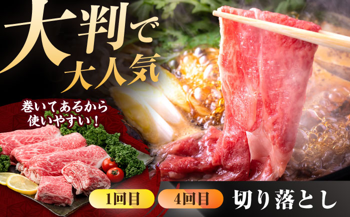 【肉のプロが厳選！】【全6回】佐賀牛 贅沢定期便【株式会社いろは精肉店】 [IAG075]