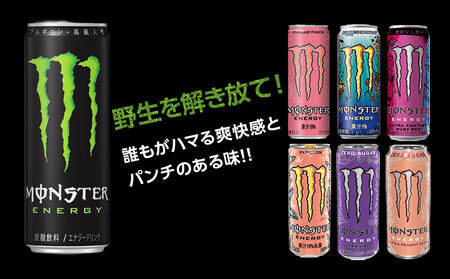 モンスター ウルトラバイオレット 355ml×48本【2ケース】