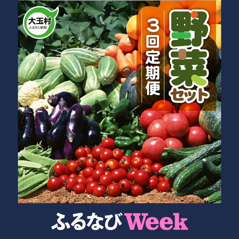 【ふるなびWEEK対象】【3回定期便】野菜定期便 野菜セット 3ヶ月 3回 （毎回10種類前後発送）