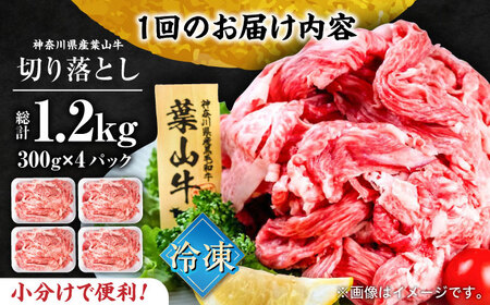 【全6回定期便】葉山牛 切り落とし300g×4パック 小分け 牛肉 切り落とし 横須賀 冷凍  計1.2kg【株式会社羽根】 [AKAG034]
