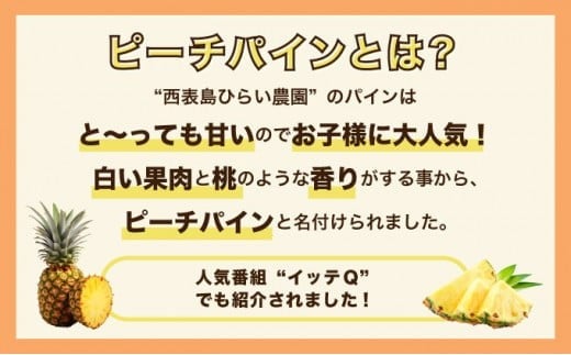 2026年 先行予約 ピーチパイン 約2kg 2～4玉 濃密 "いってＱ"でも紹介された 西表島ひらい農園 パイン パイナップル 果物 フルーツ 約2kg（2～4玉）