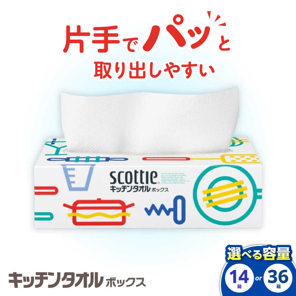 【ふるさと納税】【12月23日(火)ご入金確認分まで年内発送】【選べる容量】スコッティ キッチンタオル ボックス 14箱／36箱 開成町 キッチンペーパー キッチン ペーパー タオル 日用品 国産 新生活 備蓄 防災 消耗品 生活用品[BDBH003-1]