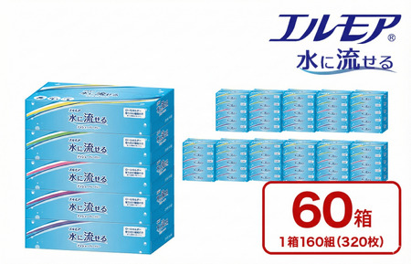 【年内発送】エルモア 水に流せるティシュー 60箱 5個×12パック ティッシュ ティッシュペーパー ボックスティッシュ 日用品 消耗品 備蓄 防災 愛媛県 四国中央市