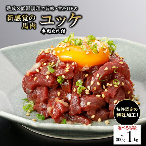 【ふるさと納税】レビューキャンペーン対象 選べる内容量 出荷月指定 馬肉 ユッケ 300g 500g 1kg 50gパック 特許製法 氷温熟成 低温調理 焼いたらもっと美味しい レア 希少 細切り 小分け 食べきり 専用タレ付 真空パック 専門店 熊本 小国 送料無料 【地場産品基準：類型3】