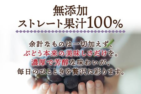 ぶどうジュース 紙パック 1L×4本入り 化粧箱入り 無添加 ストレート果汁100％ スチューベンジュース 青森県産