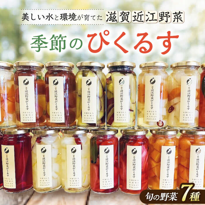【ふるさと納税】滋賀近江ぴくるす 季節の7種セット※北海道・沖縄・離島への配送不可 [AQAC020]