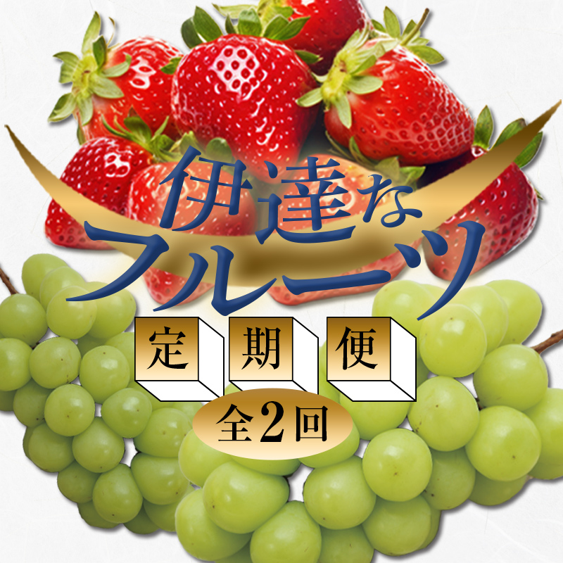 ＜2024年春から開始の定期便＞伊達なフルーツ定期便（いちご・ぶどう）果物 フルーツ 苺 イチゴ 葡萄 ブドウ 福島県 伊達市  果物 くだもの 果実 セット 詰め合わせ 詰合せ 食品 F20C-511