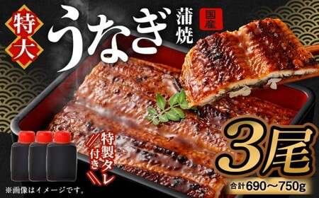 国産うなぎ蒲焼 3尾（690〜750g）と特製タレ3個セット【2026年1月発送】｜ 鰻 ウナギ 蒲焼 うなぎ蒲焼 タレ付 大阪府 阪南市