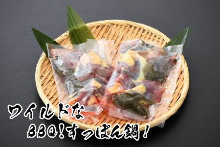 キャンプにバーベキューに「すっぽんバーベキュー！」 ワイルドにスッポンを食べてみませんか？【C-6401】