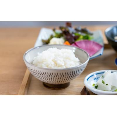 ふるさと納税 直方市 別格「夢つくし」10kg(直方市) |  | 03