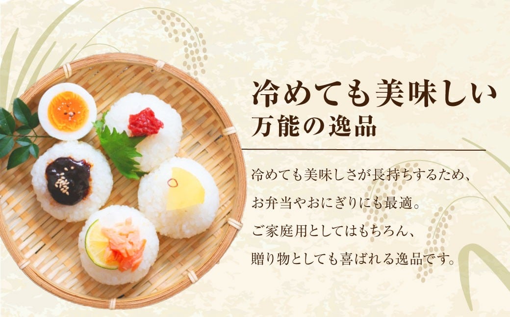 【令和7年産】 福岡県産 夢つくし 無洗米 10kg（5kg×2） ／ ゆめつくし お米 米 ご飯 ブランド米 九州 福岡県 岡垣町