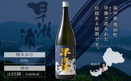 早瀬浦 大吟醸 山田錦 1800ml × 1本 【入手困難 日本酒 就職祝い 転職祝い ハレの日 ギフト プレゼント お祝い お返し お礼 お中元 お歳暮 父の日 敬老の日 】[m06-d003]