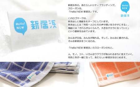 【数量限定】 今治タオル バスタオル 4枚セット「ふわサラ」シリーズ （エレックブルー） 【Hello!NEW バスタオル】