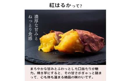 【訳あり焼き芋】12ヵ月定期便 紅はるかの冷凍石焼き芋1.5kg | 焼いも 茨城県 龍ケ崎市