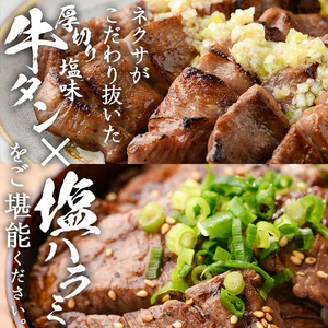 ＜定期便・全3回 (4か月ごとの発送)＞ 特選 牛タン ・ 牛ハラミ セット (総量2.4kg) 定期便 小分け 牛肉 肉 タン 牛たん ハラミ 牛はらみ 詰め合わせ 味付け 焼肉 塩 BBQ 冷凍 