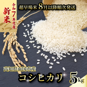 新米コシヒカリ5㎏ 新米新米新米新米新米