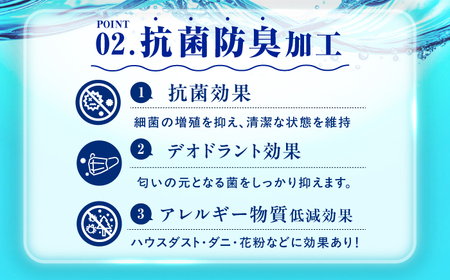 【訳あり】筑後七国羽毛ふとん セミダブル 羽毛1.0kg 無地アイボリー 広川町 / ヒラモリ株式会社[AFAO032]