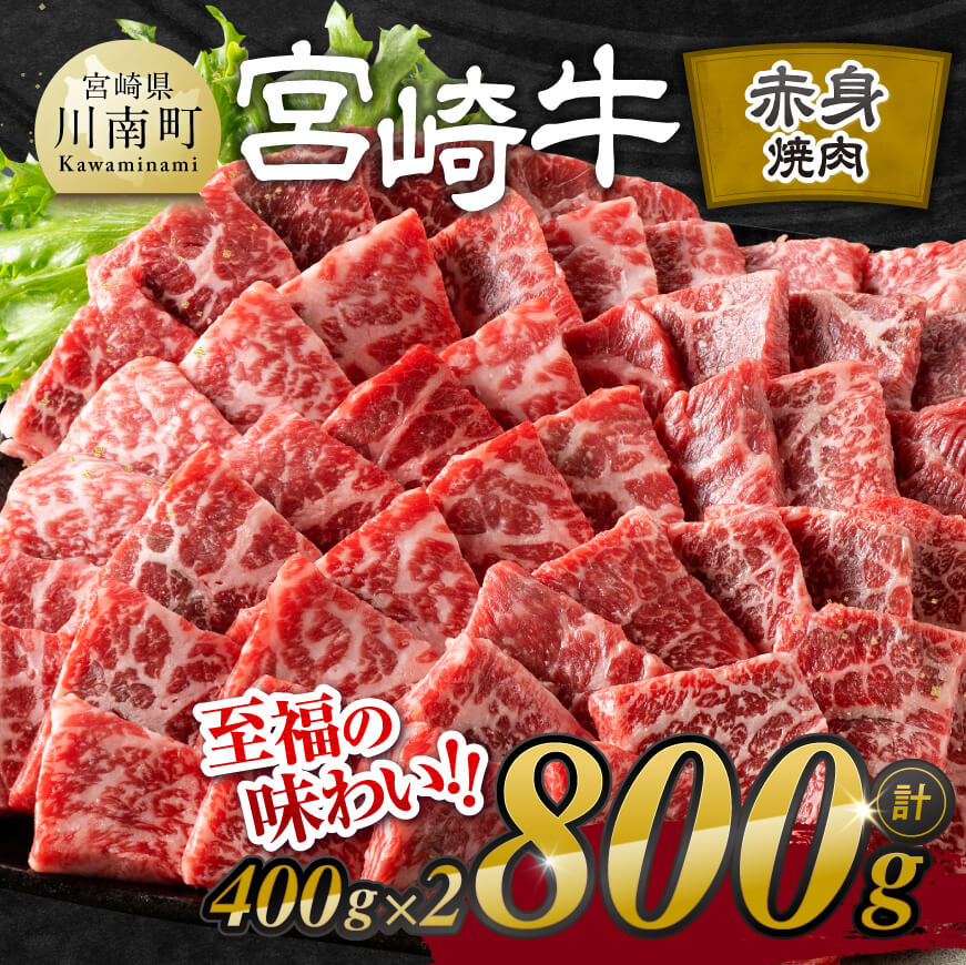 宮崎牛赤身焼肉 800g (400g×2)　牛肉 宮崎牛[E11120]