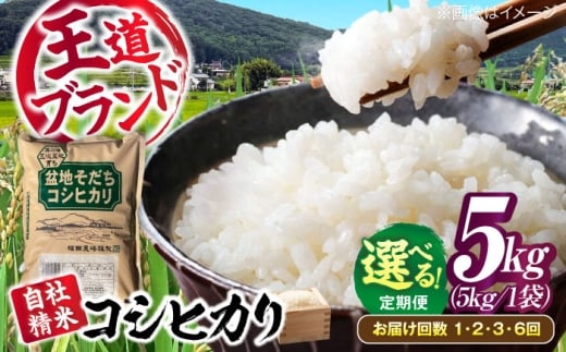 【全2回定期便】 米 盆地そだちこしひかり 5kg 令和7年産 米 こめ 白米 精米 ご飯 三次市 / 福田農場 [APBM028]