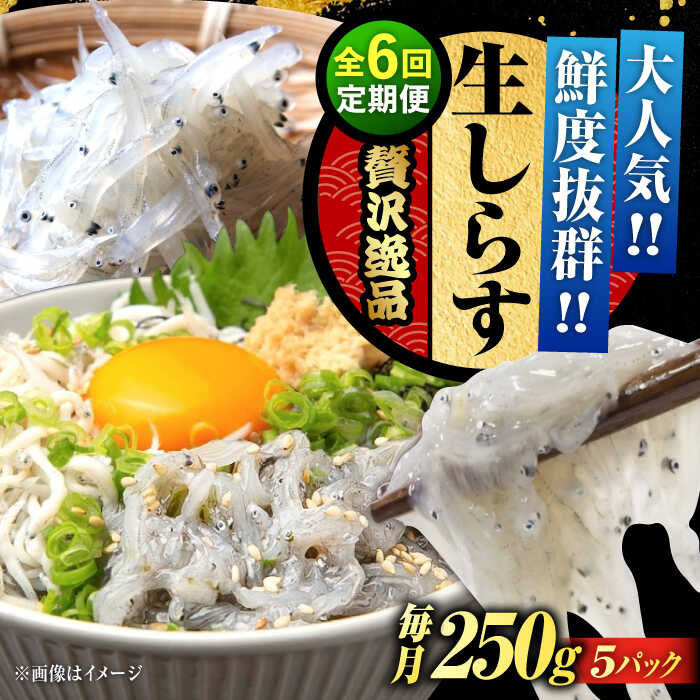【ふるさと納税】【全6回定期便】鮮度抜群 生しらす 50gX5個 しらす 釜揚げ 冷凍 シラス 小分け パック 干し 魚介類 鮮魚 海鮮 海産物 セット 詰め合わせ ギフト 広島県産 人気 送料無料 江田島市/三島水産株式会社[XCN012]