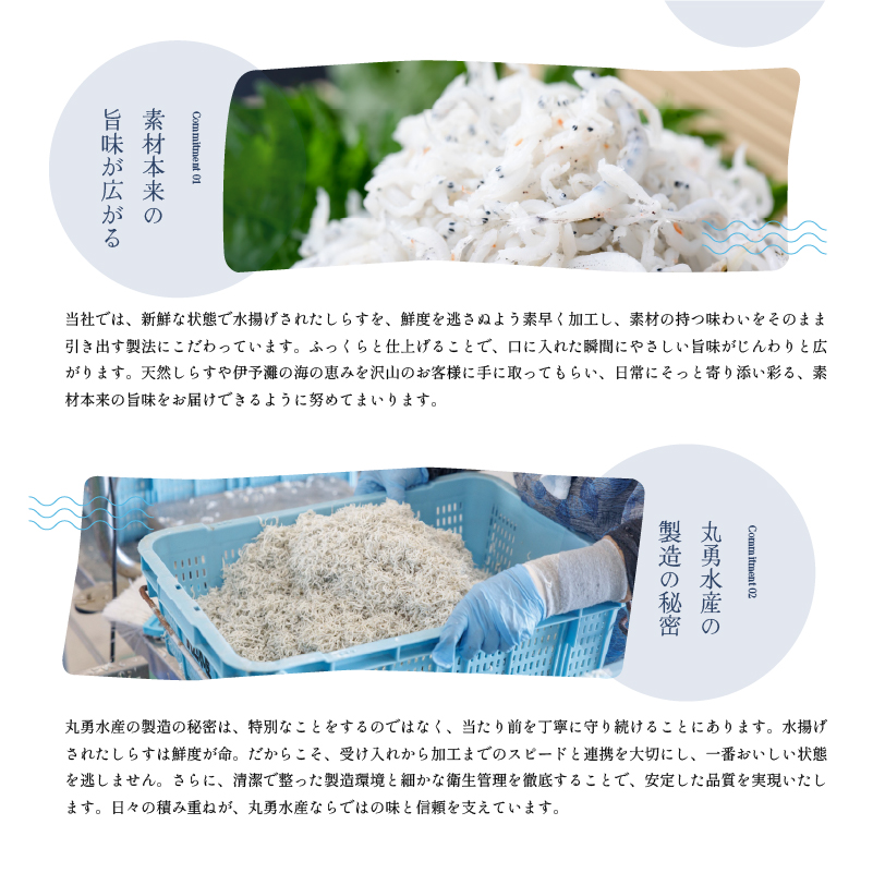 訳あり しらす 1kg 釜揚げ  |  冷凍 しらす 釜揚げしらす ごはんのお供 おつまみ 酒の肴 便利 簡単調理 おかず 惣菜 しらす丼 グルメ 食品 魚 魚介 海鮮 シラス 家庭用 愛媛県 松前町