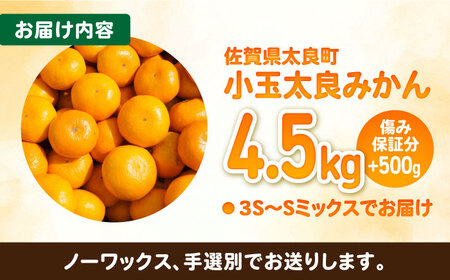 【2026年10月下旬以降発送】完熟 小玉太良みかん 計5kg（4.5kg＋傷み保証分500g） / 佐賀県 / 山本農園 [41ATBT004]
