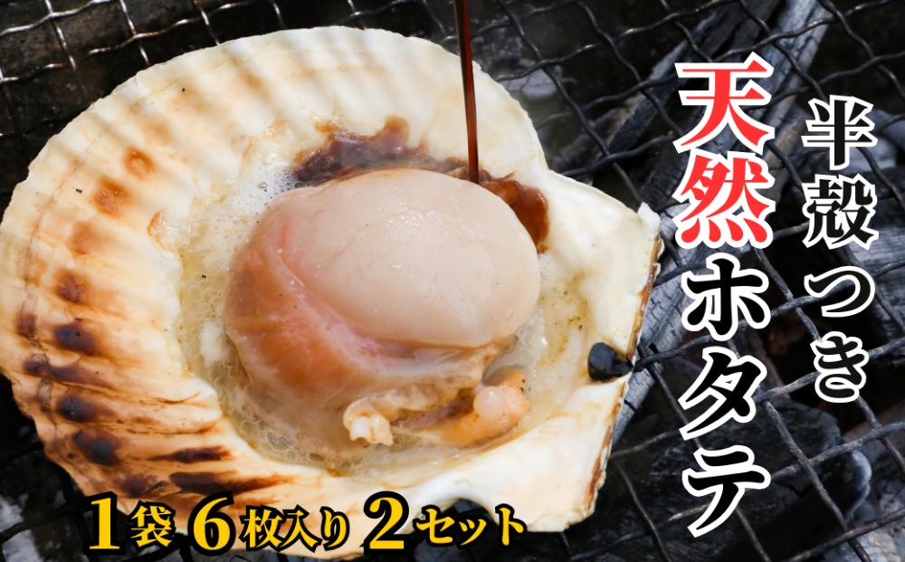 
            【数量限定】純天然 半殻つき 冷凍ホタテ 2袋セット《厚真町》【鵡川漁業協同組合】 ほたて ホタテ 帆立 海鮮 冷凍配送 北海道 [AXAL001]
          