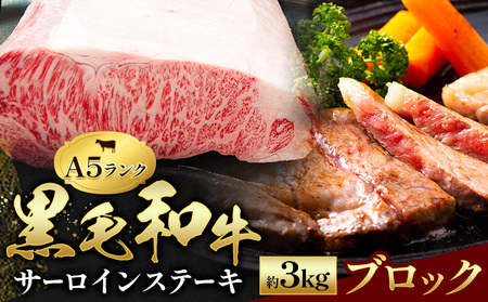 黒毛和牛 サーロイン ブロック 約3kg 田中畜産《90日以内に出荷予定(土日祝除く)》 熊本県 苓北町 A4 ～ A5 ランク 国産 肉 牛肉 ステーキ 黒牛 天草 苓北 熊本 産地直送 送料無料