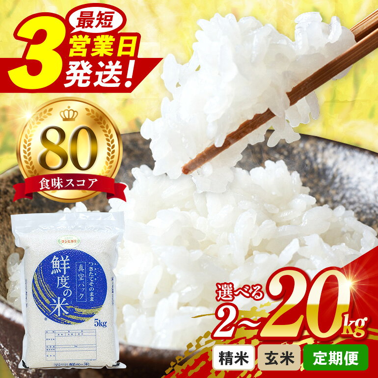 【ふるさと納税】 米 令和8年産 選べる 玄米 精米 定期便 12ヶ月 6ヶ月 3ヶ月 5kg 10kg 20kg お試し 2kg 真空パック お米 こめ 新米 コメ コシヒカリ こしひかり ギフト プレゼント 5キロ 10キロ 20キロ 3回 6回 12回 三重県 大台町 おおだい