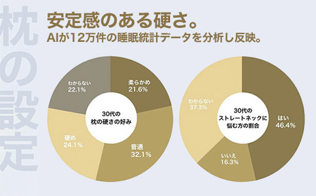 30代向けの枕 THE PILLOW Preset 18 30s《60日以内に出荷予定(土日祝除く)》