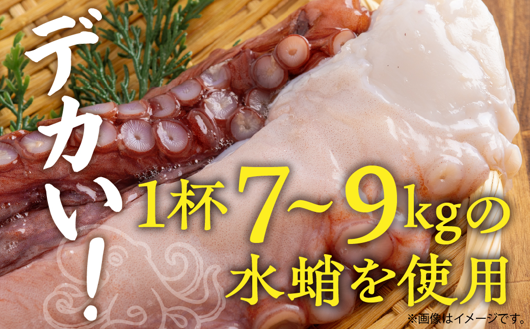 鵡川漁協発！活水生蛸足冷凍（約1kg） MKWV004