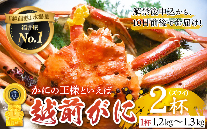 【産地直送】先行予約！ 福井の冬の王様！越前がに 1.2〜1.3kg × 2杯　2024年11月15日以降発送