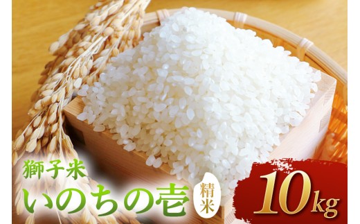 【令和8年産】獅子米　いのちの壱（精米）10kg