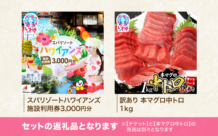 ハワイアンズ施設利用券3,000円分本マグロ訳あり中トロ1kg まぐろ
