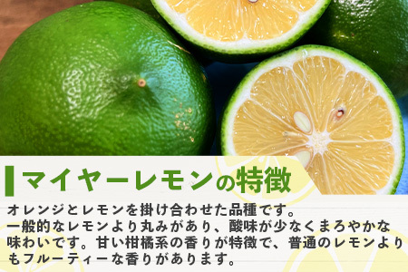 《2024年9月以降順次発送》こだわりの青切りマイヤーレモン 約2kg (12～18個) 【 沖縄 石垣 数量限定 フルーツ レモン マイヤー メイヤー 】TF-27