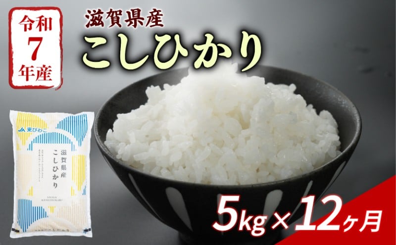 
                  こしひかり 5kg 12回定期便 令和7年産 定期便 米 精米 こめ コメ お米 ご飯 米 コシヒカリ 米定期便 12か月定期便 12ヶ月定期便 12回 12ヶ月 12か月 滋賀 彦根 【米】
                