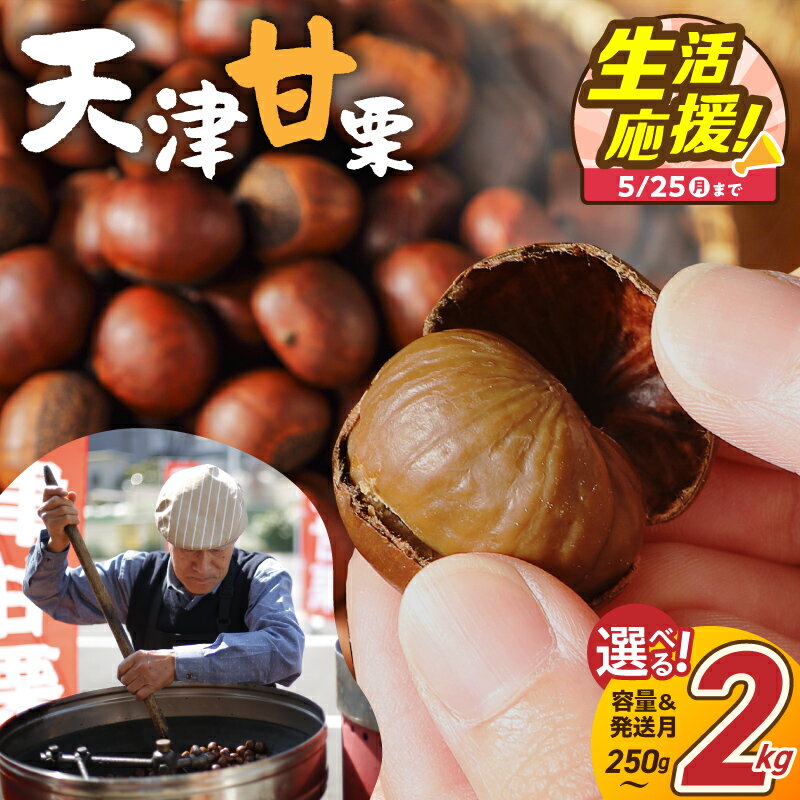 【ふるさと納税】天津甘栗 生活応援 保存料不使用 選べる容量 250g 1kg 2kg 栗爪付き やさしい甘み 河北省 栗 甘栗 焼き栗 焼いた当日に発送 栗ご飯 おやつ スイーツ マロン 常温 衣浦食品 お取り寄せ 愛知県 碧南市 送料無料