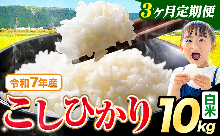 【3ヶ月定期便】令和7年産 米 白米 こしひかり 10kg《お申込み翌月から出荷》熊本県産 ふるさと納税 白米 精米 ひの 米 こめ ふるさとのうぜい コシヒカリ コメ お米 おこめ---reihoku_loc_605_mo3---