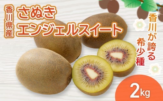 さぬきエンジェルスイート 選べる 約2kg 先行予約 キウイ 果物 フルーツ 香川県 丸亀市