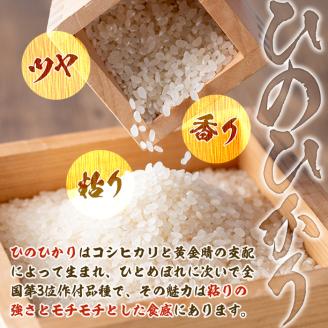 isa573 鹿児島県産！伊佐米ヒノヒカリ(2kg) 国産 白米 精米 伊佐米 お米 米 ひのひかり【神薗商店】