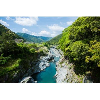 ふるさと納税 大台町 こしひかり精米(真空パック)5kg |  | 03