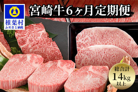 【定期便 6回】受賞歴多数!! 宮崎牛【牛肉の王様 King(キング)のバラエティ定期便】【ヒレステーキ・ロースステーキ・肩ローススライス・ウデスライス・モモ焼肉】