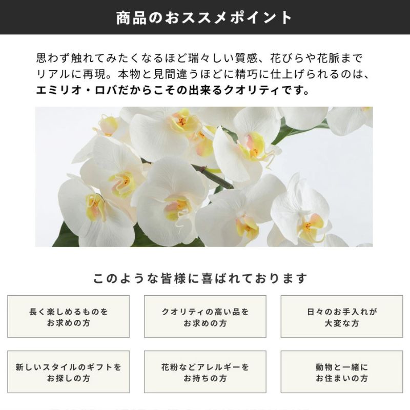 エミリオ・ロバ　公式オンライン限定　クーポン「10000円」