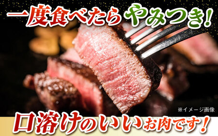五島牛 ヒレ切り落とし600g 五島市/肉のマルヒサ[PCV040] 牛肉 フィレ ヘレ A4 A5