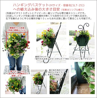 C053 花うるる特製アレンジ・おまかせハンギングバスケット～Mサイズ