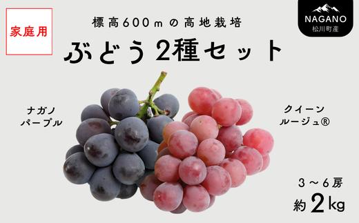 【家庭用】 ぶどう2種セット （ナガノパープル・クイーンルージュ®） 約2kg [TK37]／ 2026年9月中旬～10月頃 配送予定 //
