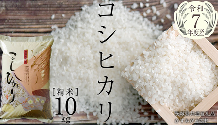 ＼ 2月出荷 ／【令和7年産】コシヒカリ 精米10kg（10kg×1袋）（茨城県共通返礼品 かすみがうら市産） [EX002sa-02]