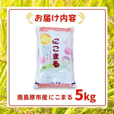 ふるさと納税 南島原市 南島原市産 お米(精米)にこまる 5kg |  | 01