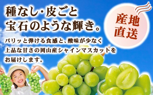 【訳あり】2026年9月発送 岡山県産 シャインマスカット 2kg